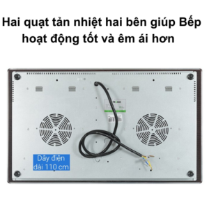 bếp từ pramie PRTH-2203