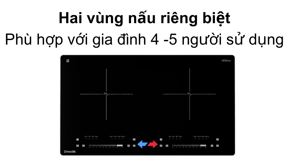 Hai vung nấu dmestik AM-D216