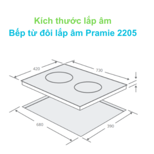 Kích thước lắp âm Pramie 2205