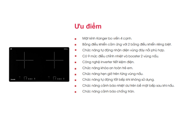 Nổi bật bếp từ đôi Dmestik 203