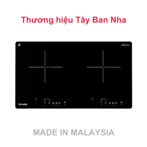 Bếp từ đôi Dmestik 203