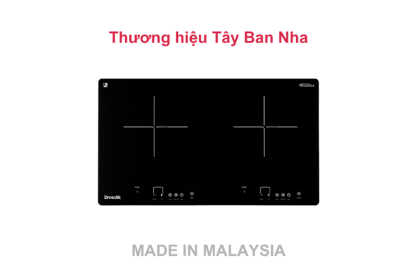 Bếp từ đôi Dmestik 203