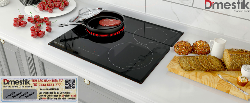 Bếp từ 3 Dmestik